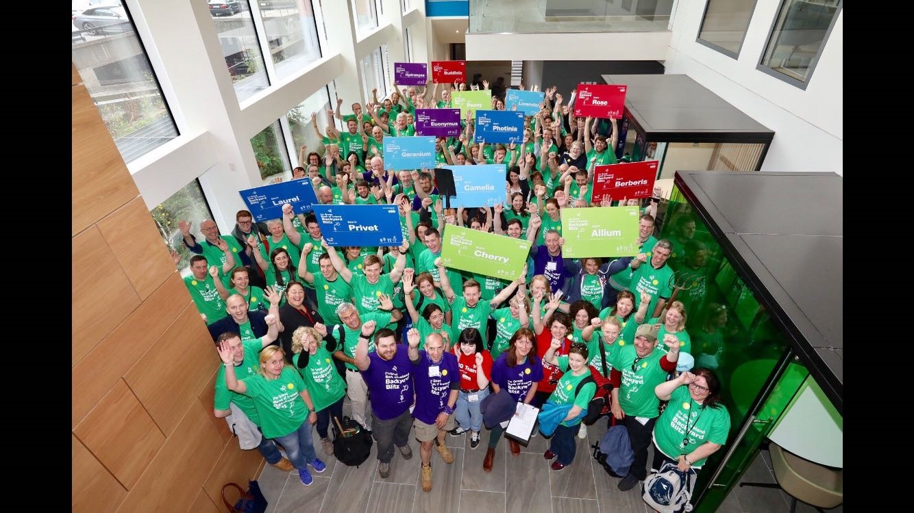 Bank of Ireland volunteers ready for the Backyard Blitz